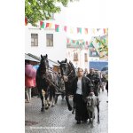 20. Juni 2015 - de Dittersdorfer beim Salzzug